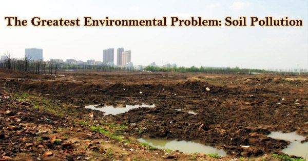 The Greatest Environmental Problem: Soil Pollution