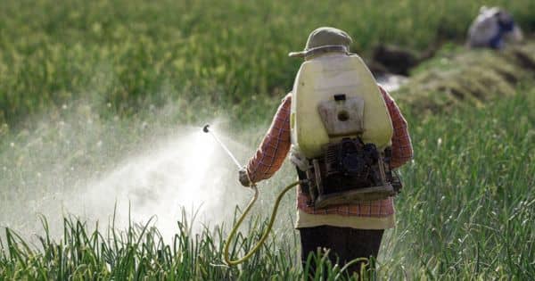 The pesticides and pollution will kill us – an open Speech