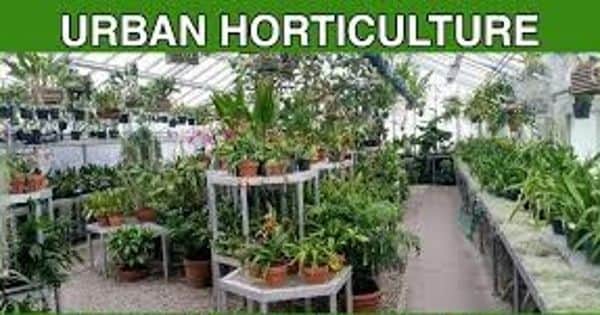Urban horticulture – the study of landscape in cities