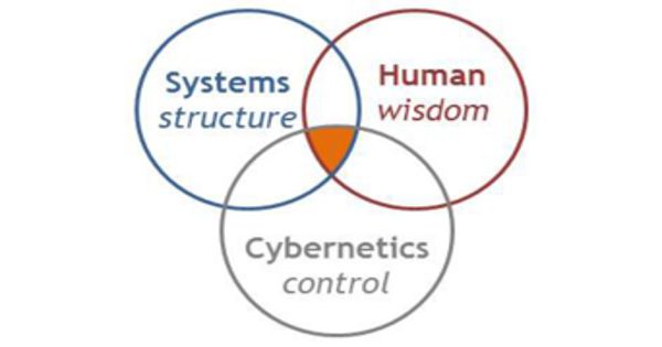 Cybernetics – a transdisciplinary approach