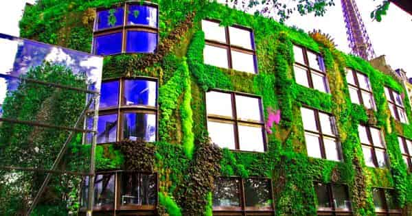 Green Wall – a vertical greening typology