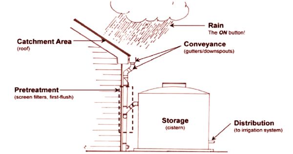 Rainwater Harvesting – a sustainable process for preserving water