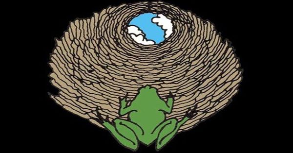 The Frog in the Well – an Instructive story