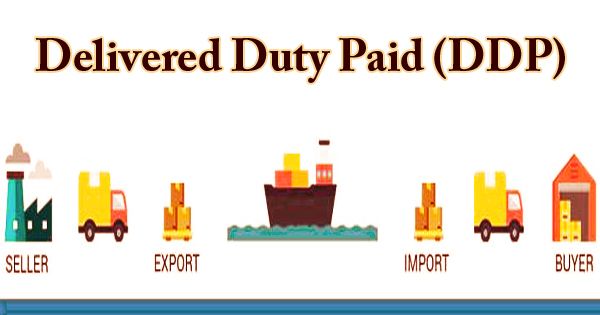 ddp delivered duty paid significato