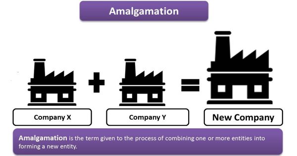 Features of Amalgamation