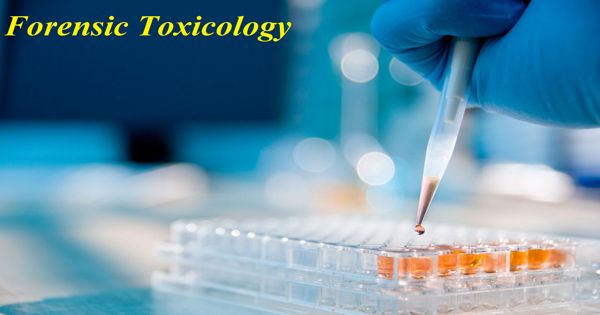 Forensic toxicology – a toxicological investigation