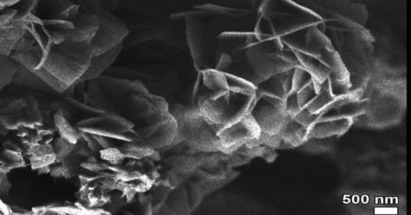 Nanoflower – in chemistry