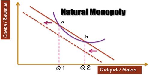 regulated natural monopoly examples