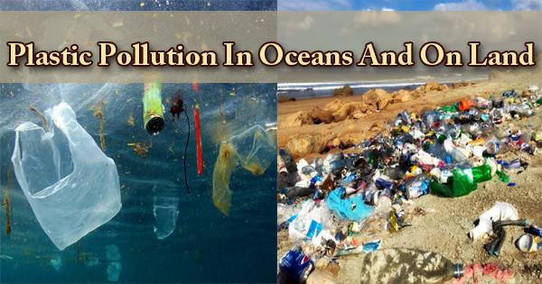 Plastic Pollution In Oceans And On Land