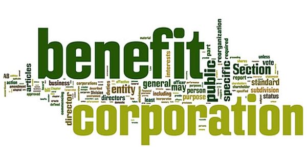 Public-benefit corporations – a specific type of corporation