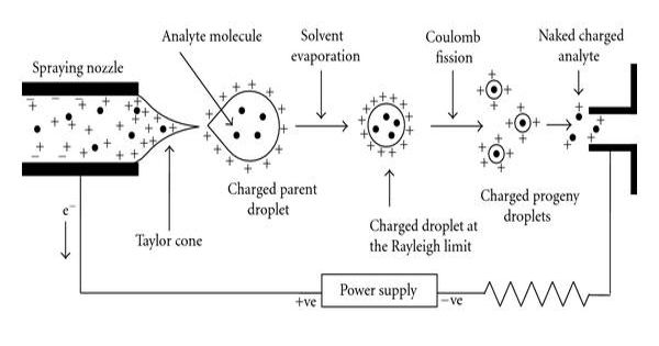 Electrospray Ionization – a soft ionization technique