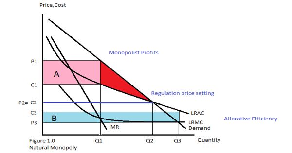 natural-monopoly-a-monopoly-in-an-industry-assignment-point