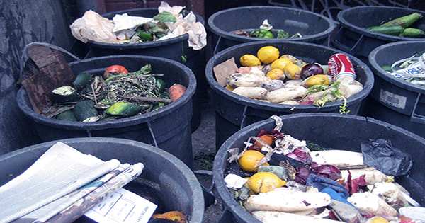 According To New Study, the Average American Wastes over a Quarter of the Food They Buy