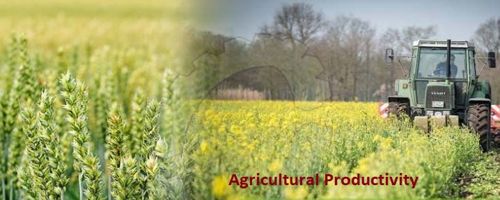 agricultural-productivity-assignment-point