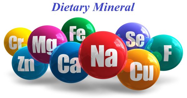 Dietary Mineral – a chemical element