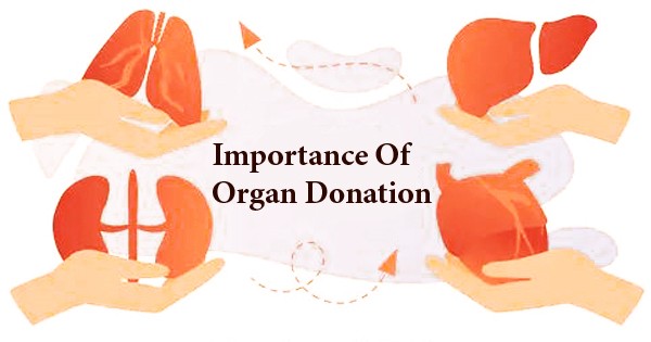 Importance Of Organ Donation