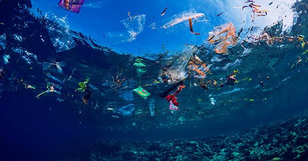 Largest Ever Ocean Clean-Up Recovers Over 100 Tons of Plastic Trash and Fishing Nets
