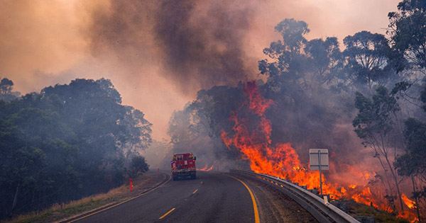Logging Fueled Last Year’s Catastrophic Megafires in Australia and Could Spark Repeats