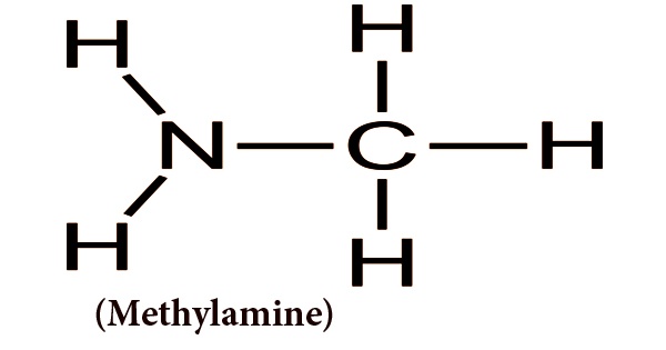 Methylamine (Production, Uses)