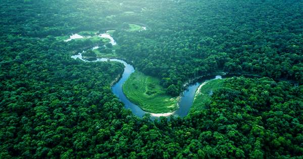 The Amazon Rainforest Is About To Cross an Irreversible Threshold That Will Turn It into A Savanna, Top Scientists Say