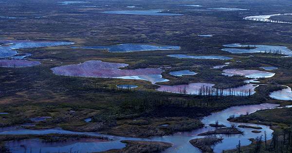 The New Satellite Images Show Arctic River Turned Red from Diesel Spill