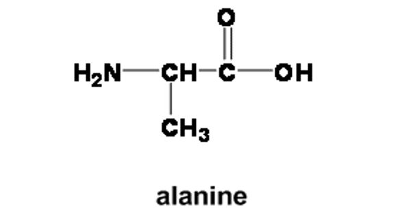 Alanine – an amino acid