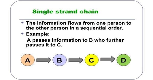 Single Strand Network in Business Communication