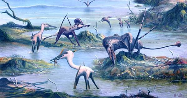 AI Reveals New Insights into Mass Extinctions and Life on Earth