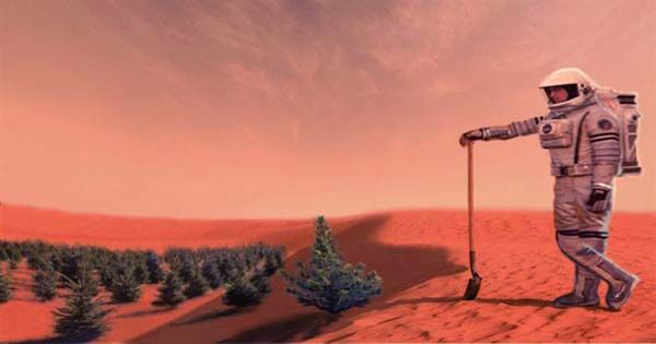 Algae Could Be Grown On Mars Sustain Human Life