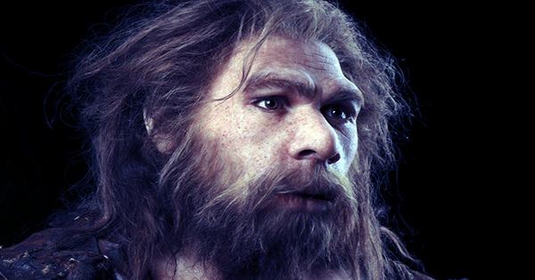 Ancient Teeth of Possible Neanderthal-Human “Hybrid Population” Discovered In Jersey
