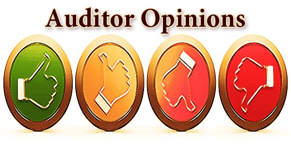 Auditor Opinions