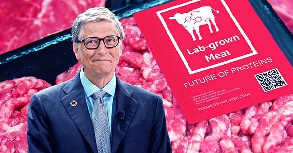 Bill Gates Says Rich Countries Should Switch To Synthetic Beef To Save The Planet