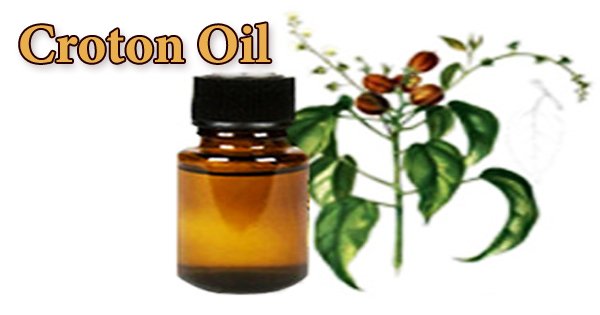Croton Oil