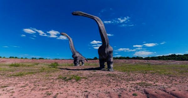 Gigantic Dinosaur Unearthed In Argentina May Be the Largest Animal to Have Roamed the Earth