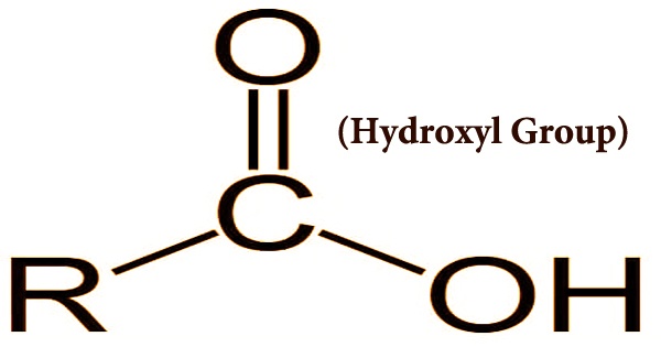 Hydroxyl Group