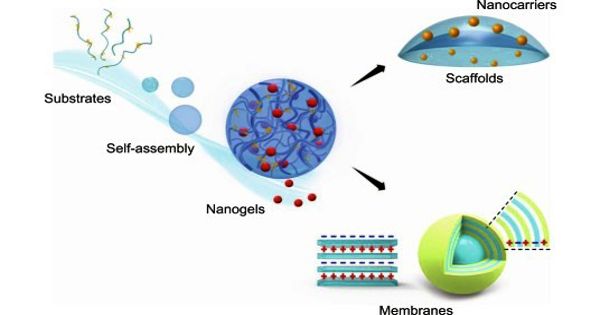 Nanogel – a nanosized hydrogel