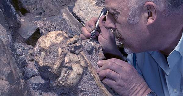 Opposable Thumbs First Emerged In Humans 2 Million Years Ago