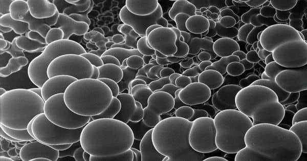 Carbon Nanofoam – an allotrope of carbon