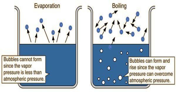 Difference between Boiling and Evaporation