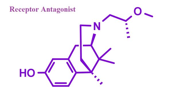 Receptor Antagonist – a biological repressor molecule