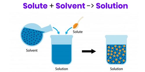 solvent-in-chemistry-assignment-point