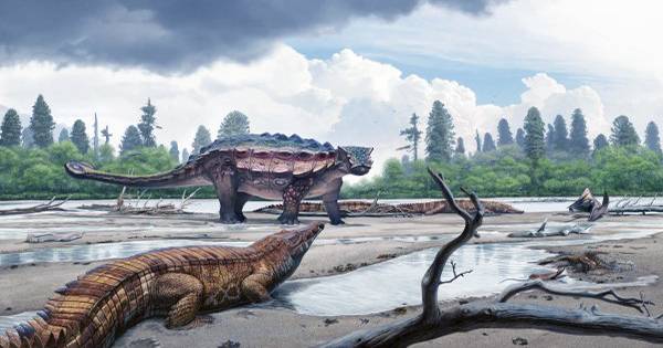 Armored Dinosaurs May Have Dug Hollows To Protect Themselves
