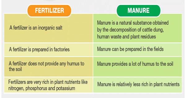 Difference between Manure and Fertilizer