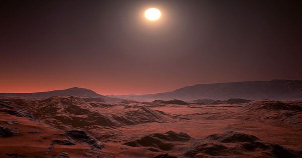 Earthly Life Could Survive On Mars, New Studies Suggest