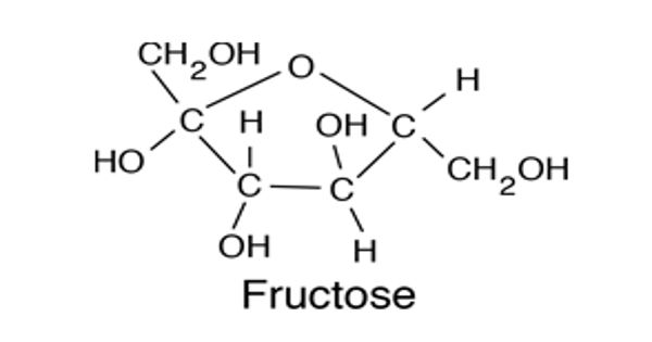 Fructose – a type of simple sugar