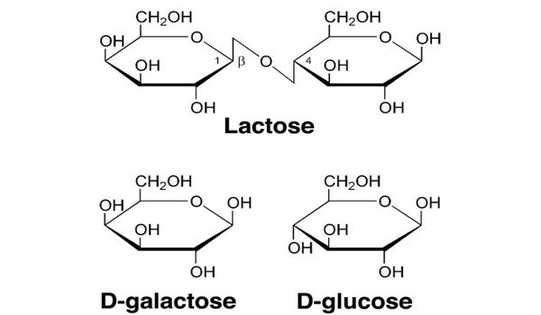 glucose and lactose