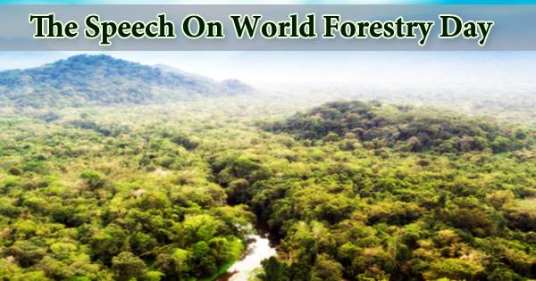 The Speech On World Forestry Day