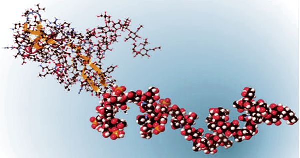 Biopolymers – naturally occurring polymers