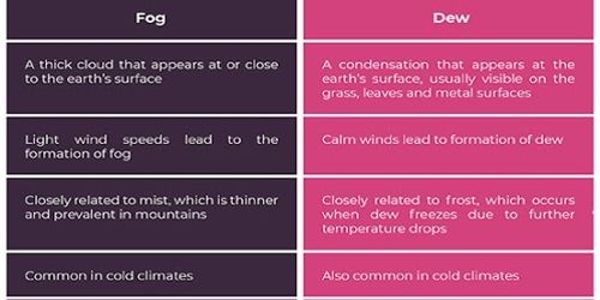 difference-between-fog-and-mist-assignment-point