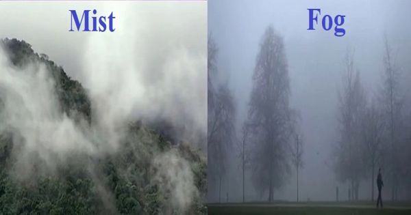 Difference between Fog and Mist
